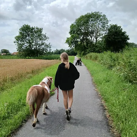 Ferien- Und Pferdehof Egelkraut *
